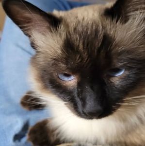 Meet your Posher, Teri